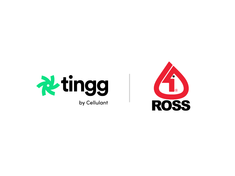 Tingg and Ross logos